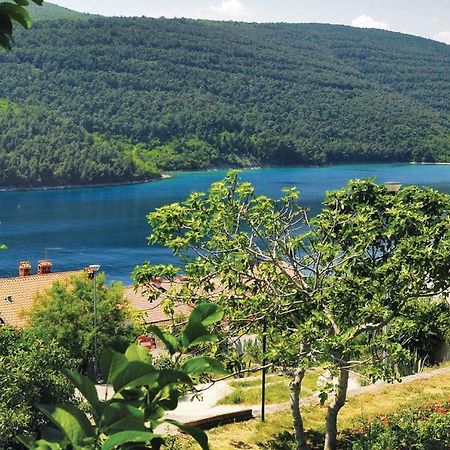 Histria Magica Villa Лабин Екстериор снимка
